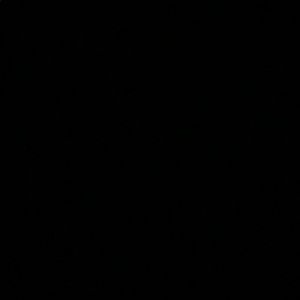 Meet your Posher, Jaytee